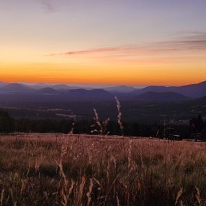 Meet your Posher, Madeleine